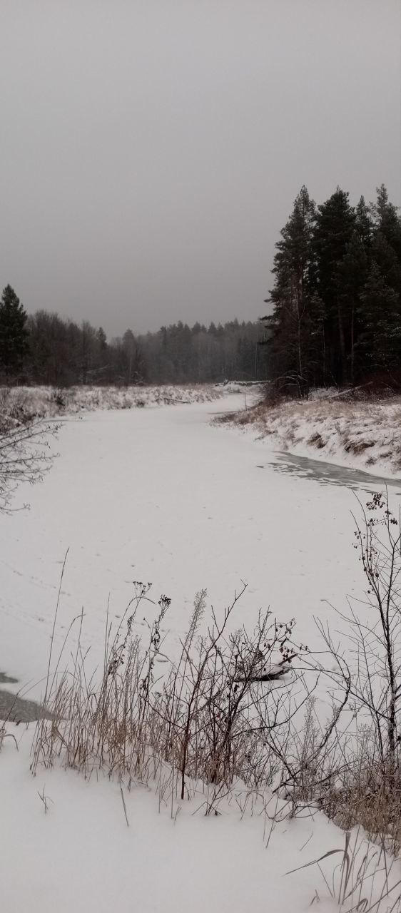 В Марий Эл впервые замерзла река Илеть