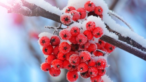 � ����� �� ���� ������ �� -26 ��������