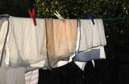 ��� �������� �����, ���������� ����� ������: 5 ����������� �������