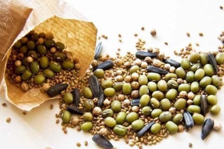 ������������: ������ �������� ����������� ����� �� ����� �����������