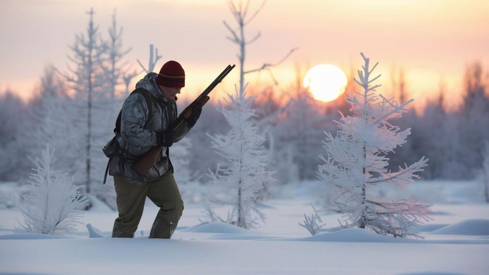 ����� ������: � 22 ������� � ����� �� ������ ������ ��������� �� ������� ����, ������� ��������, ���������, �������� � �����������