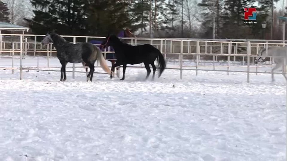 ����� ������ ��������� � ����� ����������� ���������� ��� ��� ������� �������� ������