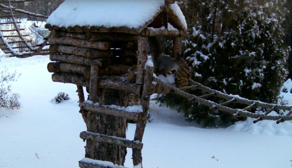 � ������������ ���� ������-��� ���������� ����� ������� ��������, � �������� ��������� ��� ������� �� � ������ ����