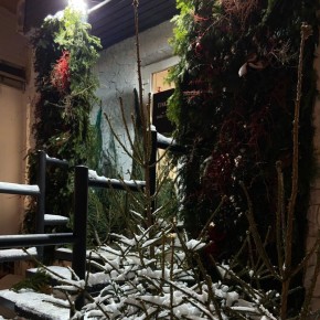 �������� ���� ������ �� ������ ����!������-��� ������������� � ���������