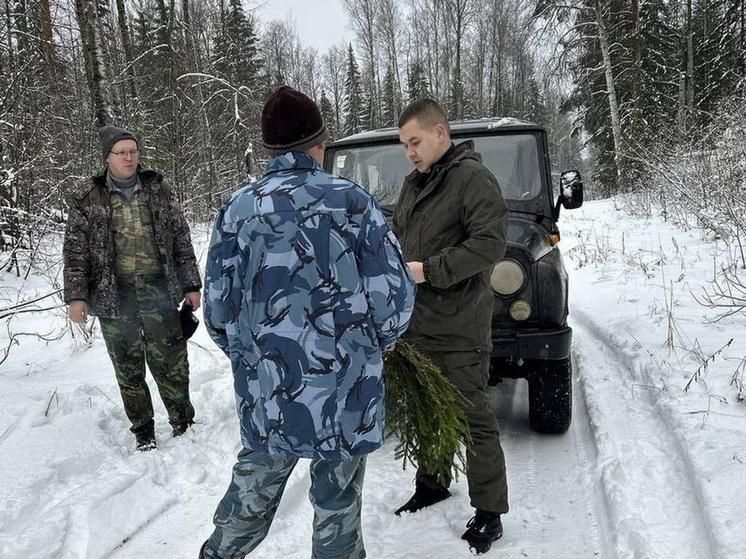 ��������������� ������ ���������� ������ ��������� �������������� ����� ����� �� ����� ����������� �����������