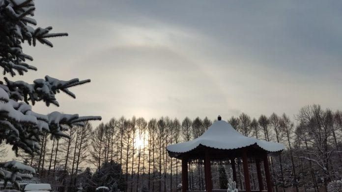 ������������ ������������� ���� ������-��� ������� ������������� ���� ������ ������