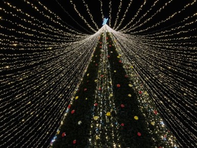 ������� � ����� �� �������� ������, ���������, ������� ��������� ����