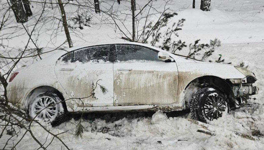 � ������������ ������ 21-������ �������� �� ���� �������� �������� �� ������