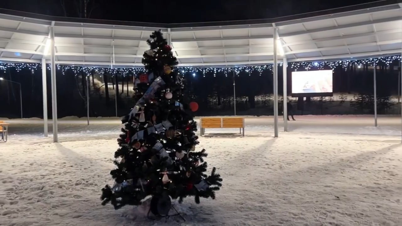 Новогодняя елка из Звениговского района Марий Эл представит наш регион на всероссийском конкурсе