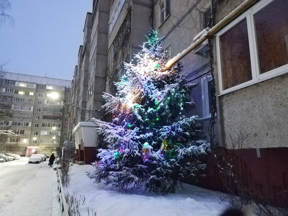 ��������� ����: ���������� ���� �� ��������� 15 ���