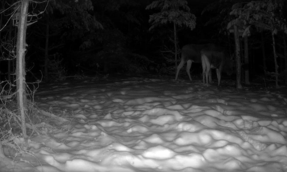 � ����� �� ����� ����� ����� � ����������� ����������� ������ ����