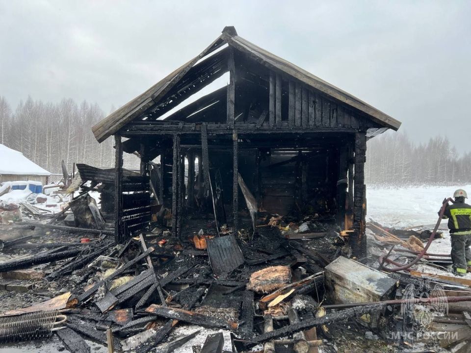 � ������������ ������ ������ ���