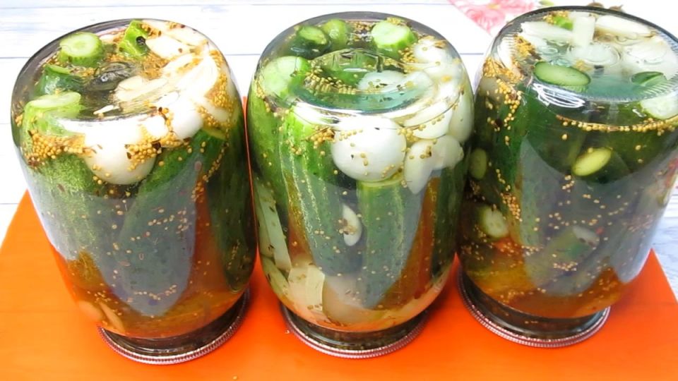 ��� ��������� ������ ������: ������� ������� �����������