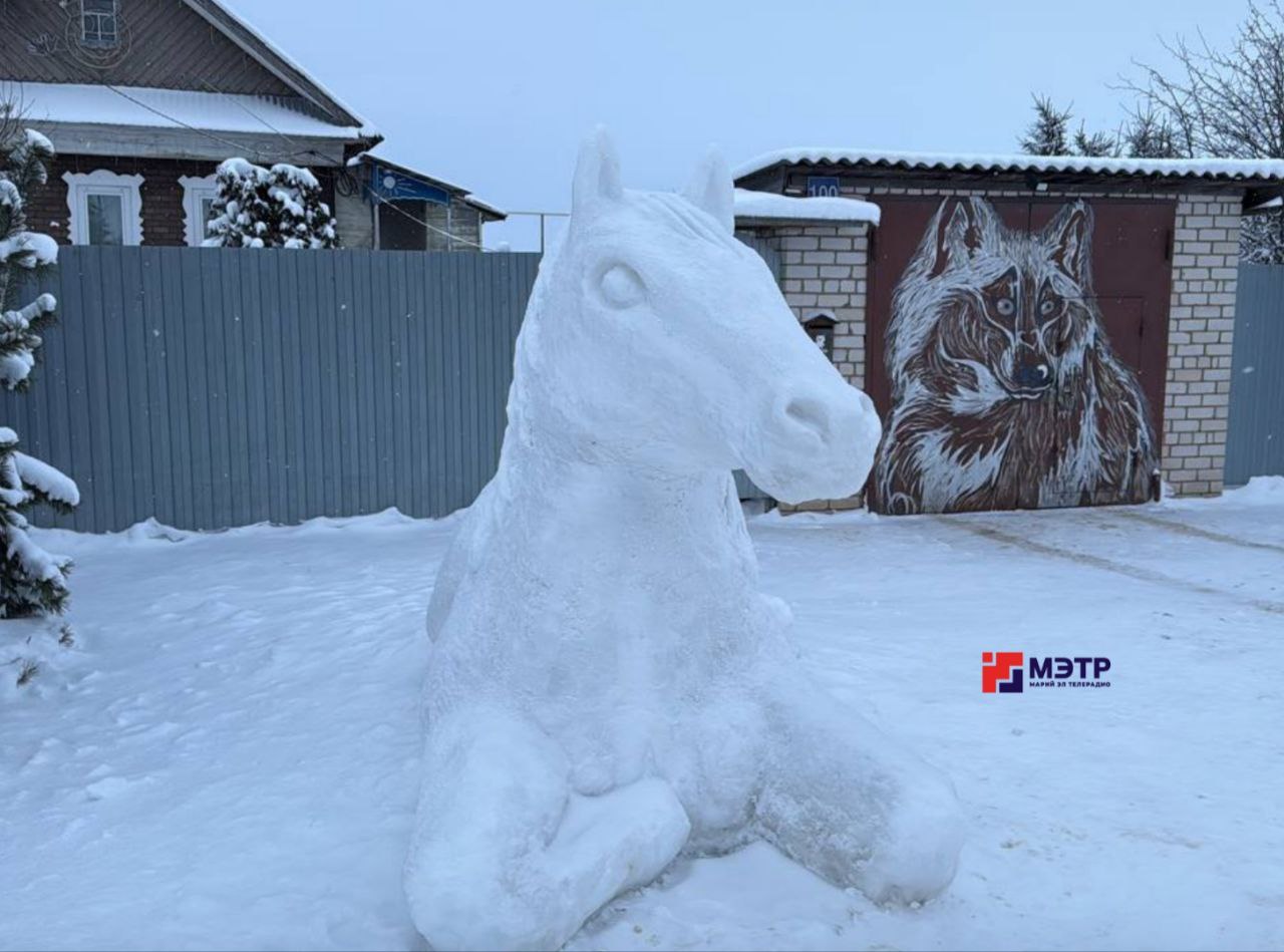 В деревне Юшково появился необычный гость – снежный конь