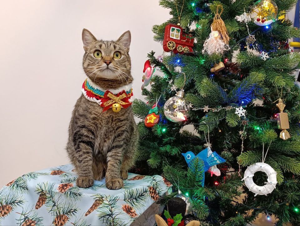 � ����� �����, ������! �� ����� ������ ������ ��� �������, �����, ����� � ���������� ����� �������� ������� � 2026-��