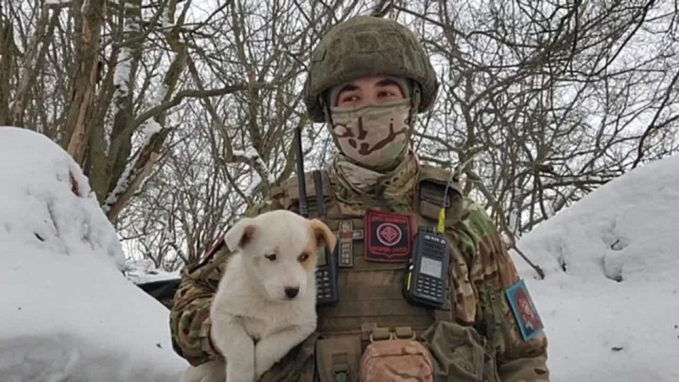 ���� ������: ����� ������� ����� �������� � ���������!