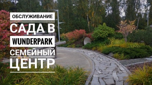 ���������� ����������� ������: ��� '����������' ������� ��������� ���� ��� �����