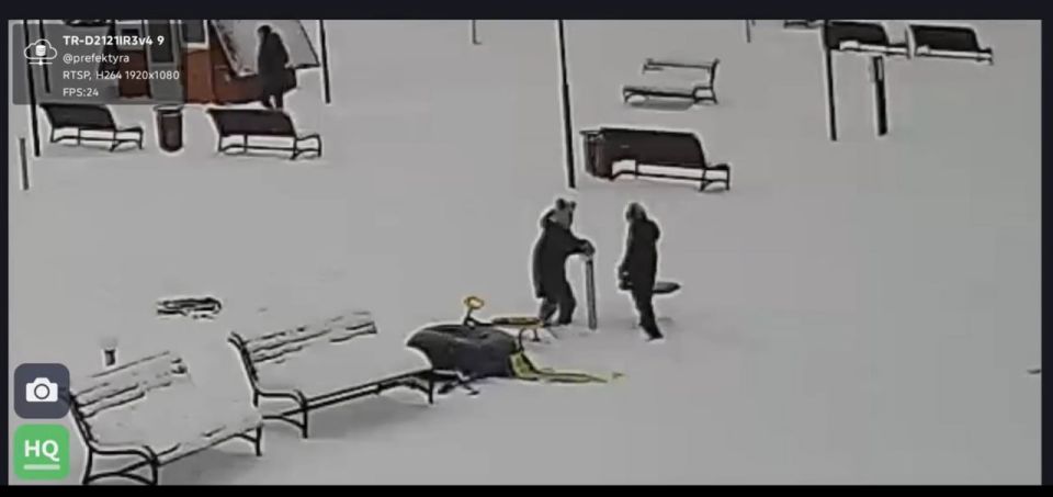 � ��������������� ������� ���������� �������� ����������, ����������� ������ � ����������� �������