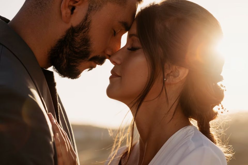 ����� ��������, ������������ ������� ���������, ������ �������