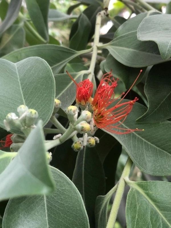 � ��������� ������������� ����-��������� ������-��� � ����� ������� ��������� ��������� ��� ���������� ���� ������� � ������ �������� ������������� ��������, ���������� ��� ����������