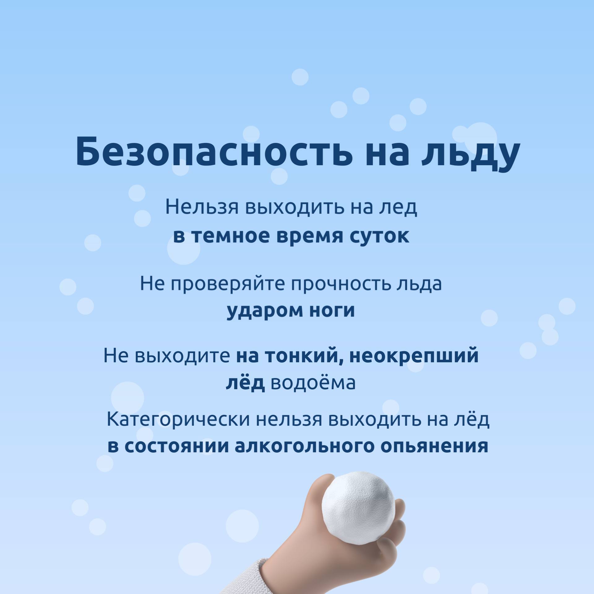 Новогодние праздники - время чудес, радостных мгновений, теплых встреч и прогулок Новогодние праздники - время чудес, радостных мгновений, теплых встреч и прогулок