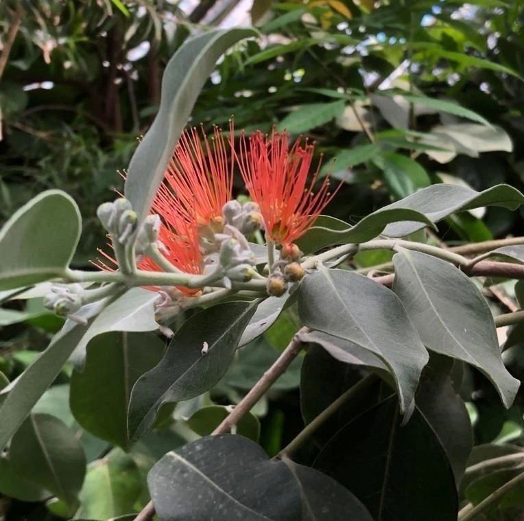 � ������-��� ������������ ���������� ������ ����������