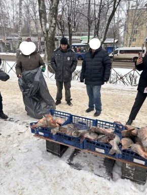 Перед новым годом в Йошкар-Оле и селе Сидельниково Звениговского прошли рейды по местам незаконной торговли рыбой