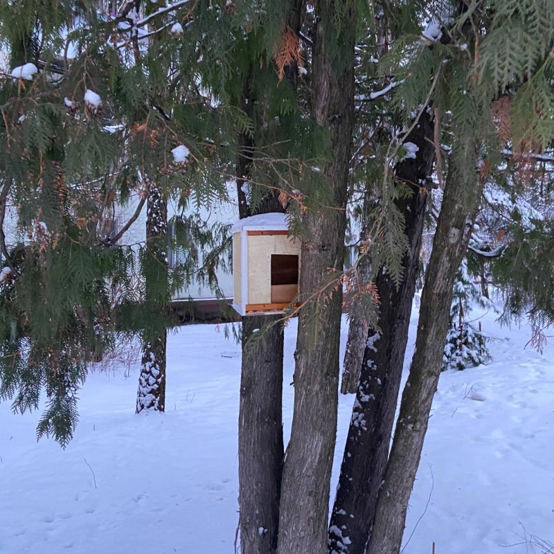 ���� - ��������� ����� ��� ����, ����� ������������ ���� ���������� �����������