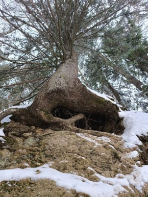 В Марий Эл есть заповедное место, где исполняются желания