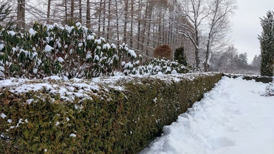 ����������� ����, �������� � �������� �� �������� ����� ���������