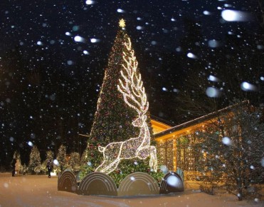Продолжается приём заявок на всероссийский конкурс «Ёлки России»