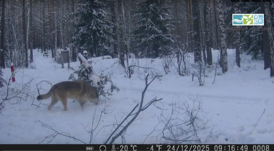 � ���������� ������ ���� ����������� ������������� ����� ������ ����� ������������� ������ �����