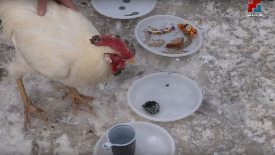 7 ������ � ������-��� ������� ���������