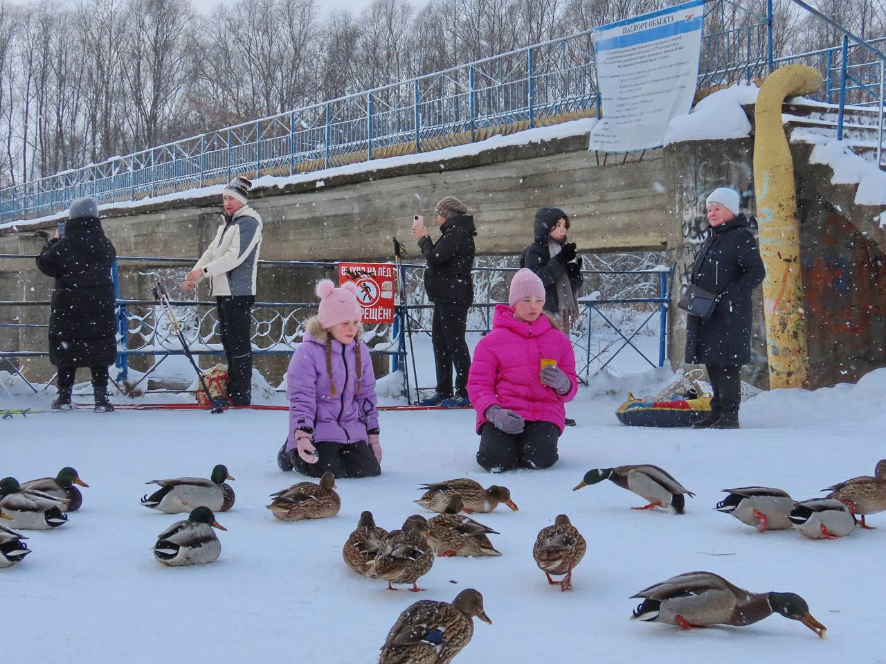 В Йошкар-Оле в сквере имени А.С. Пушкина появились кормушки для птиц В Йошкар-Оле в сквере имени А.С. Пушкина появились кормушки для птиц