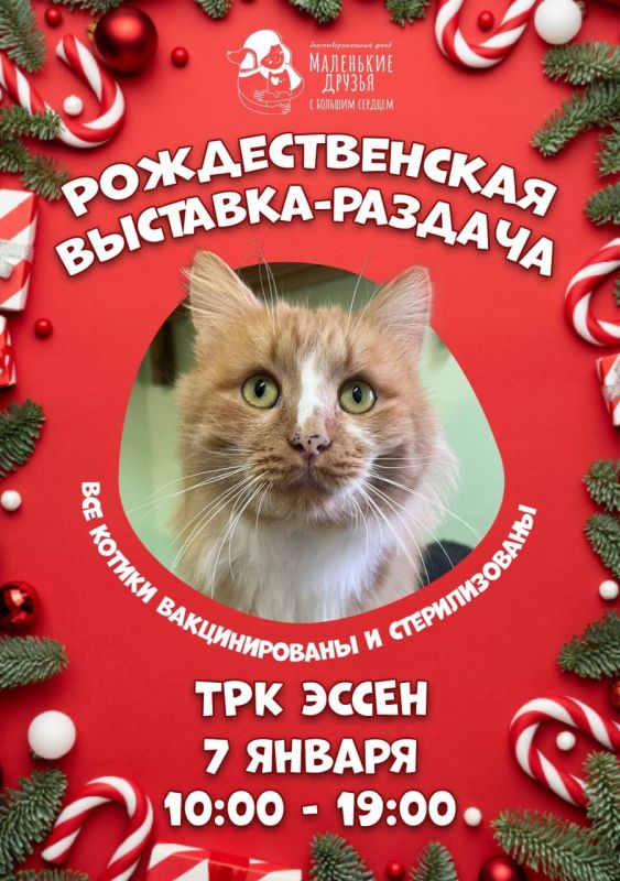 �� �������� ����� ����� ������������� � ������� �����