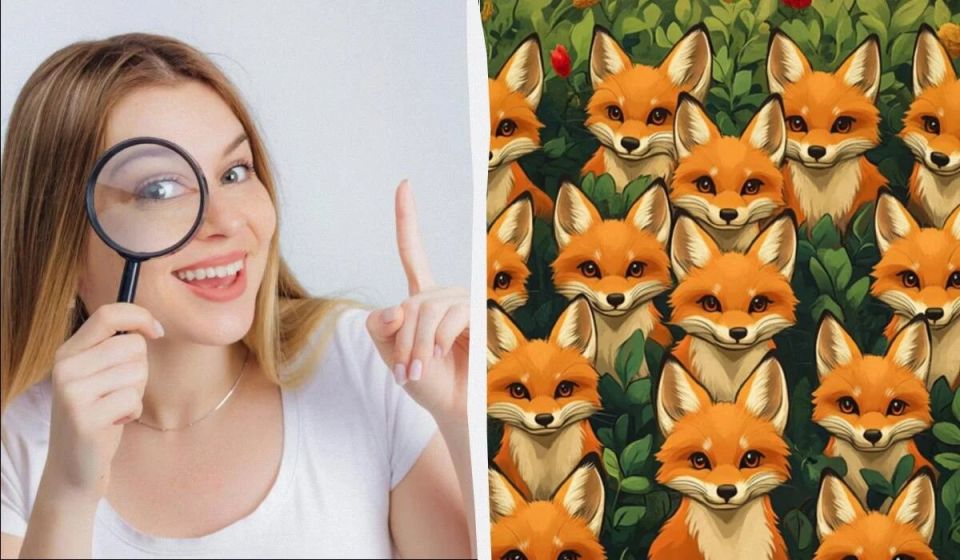 ����� ���������� �������: ������� ������ ����� ����� �� 5 ������