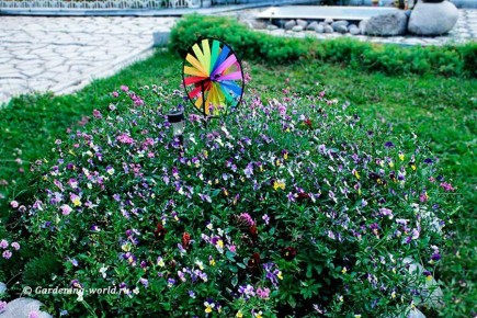 ��� ������� ��������� ������� ��� �����: ������� ������ ��� ��������