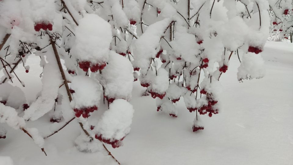 ����� �� ������� ������, �������� � ������ ���� � �����