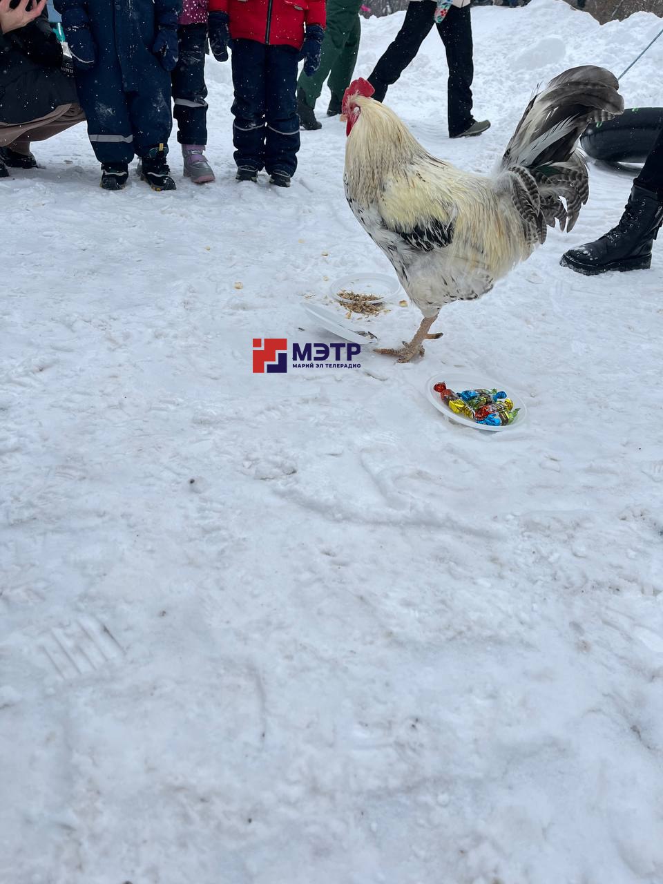 Праздник «Шорыкйол» в самом разгаре в Марий Парке! Праздник «Шорыкйол» в самом разгаре в Марий Парке!