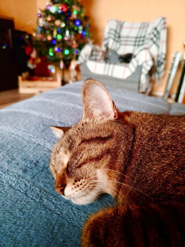 ������ ����! ���������� �������� ������������ ��������� �� �������!