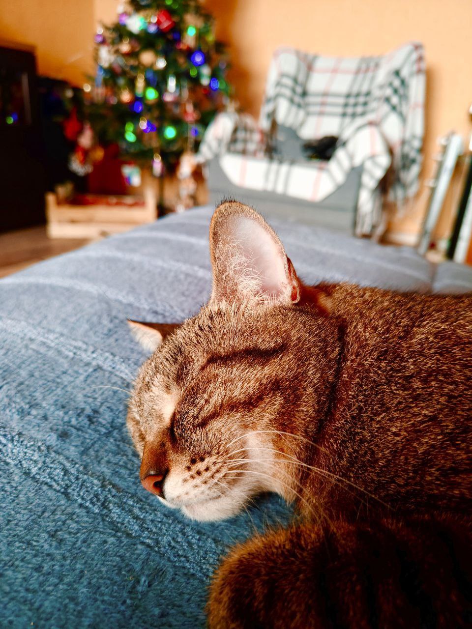 Доброе утро! Новогодние каникулы продолжаются Проведите их классно!