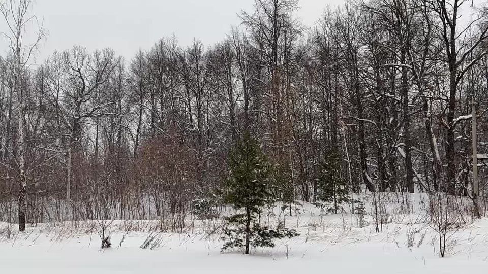 ������� ����� � �� ����� ����� � ����� �� ����������� ������� ����, ��������� ��������� ��� ������� 500 ������ � �����, ������� ������� ������, ����� � ����������, �������� ����