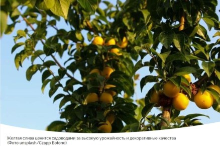 ������� �������: 9 ���������� ������ ������ ����� ��� ������ ����