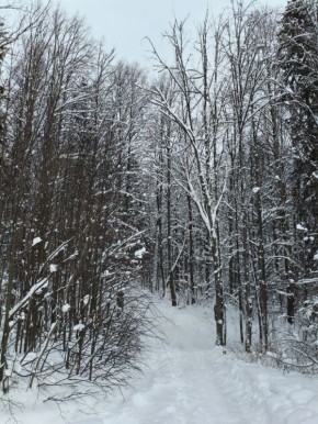 ������ ����. ��� �������� ���� ��������?