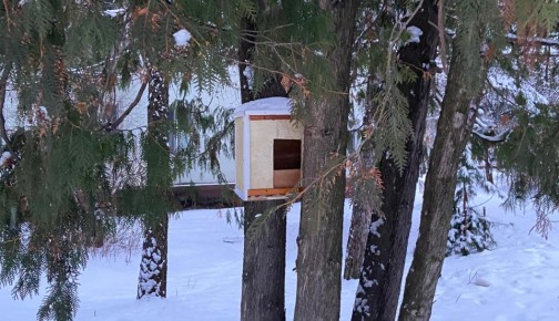 � ������ ������� � ������-��� ��������� ������ ��������