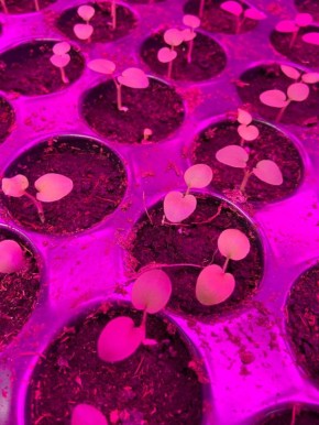 ���������� �����: � ��������� ���������� ����� ��� ��������� ������-���