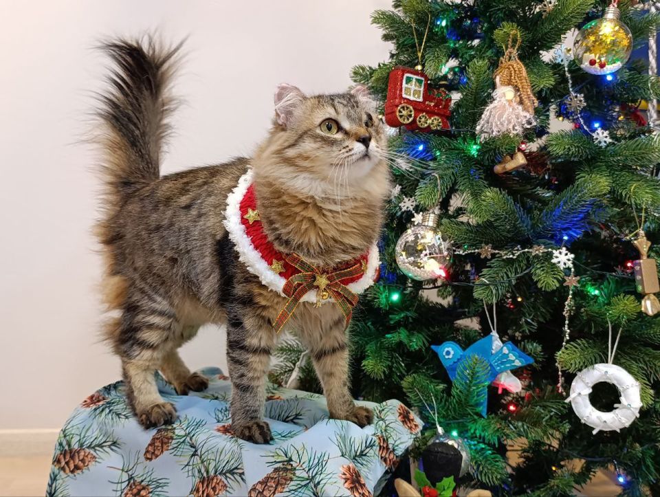 ��� ��� 2 ��� �� ����� �������? � �� ������ ����� ���� ��������