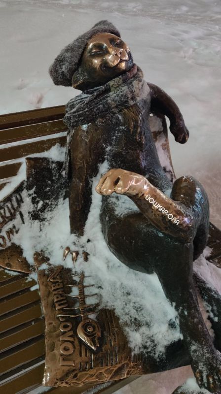 Йошкина кота одели по погоде