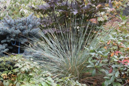 ������� �������� ������������� ��������: ��� �������� �������������� ������� ���