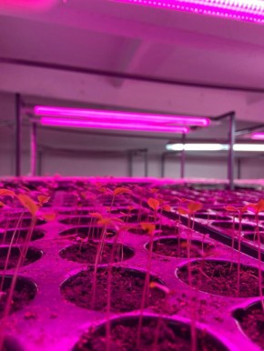 � ������������� ��������� ������-��� ������� ����������� ��������� ������� ��� �������� ������ ���������� ������� ����� ��